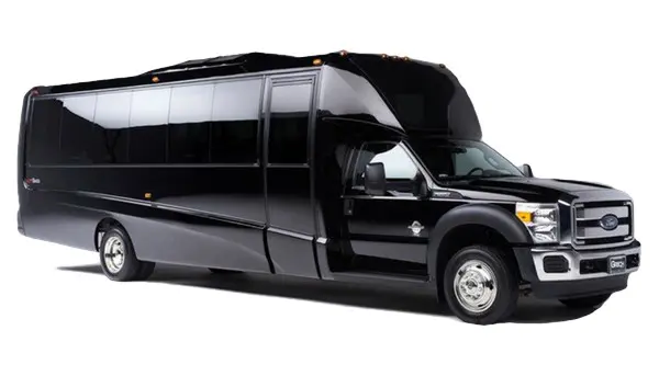 Mini Bus - Iveco Mini Bus Luxury Vehicle